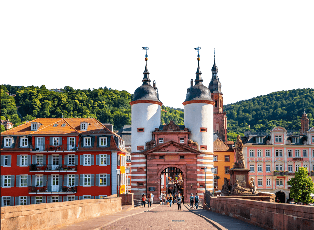 Heidelberg University